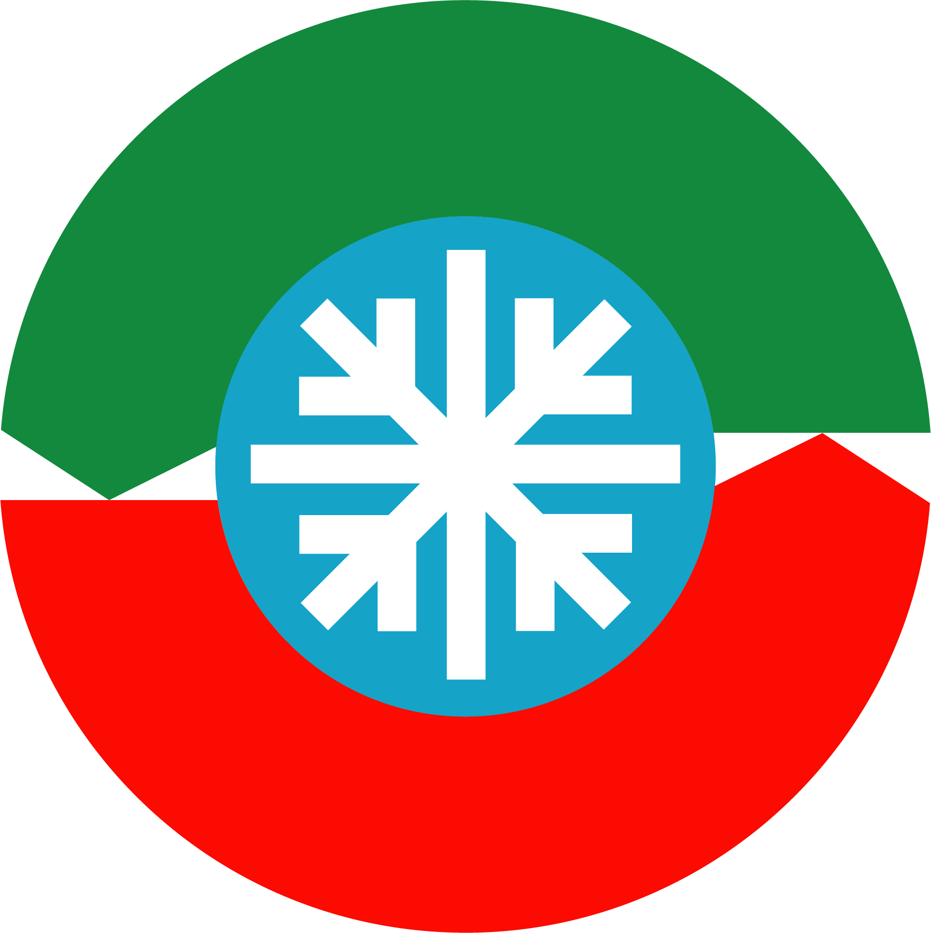Firma Schneeflocke